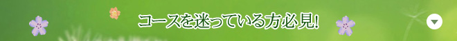 コースを迷っている方必見！