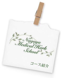 Nagoya Medical Herb School コース紹介