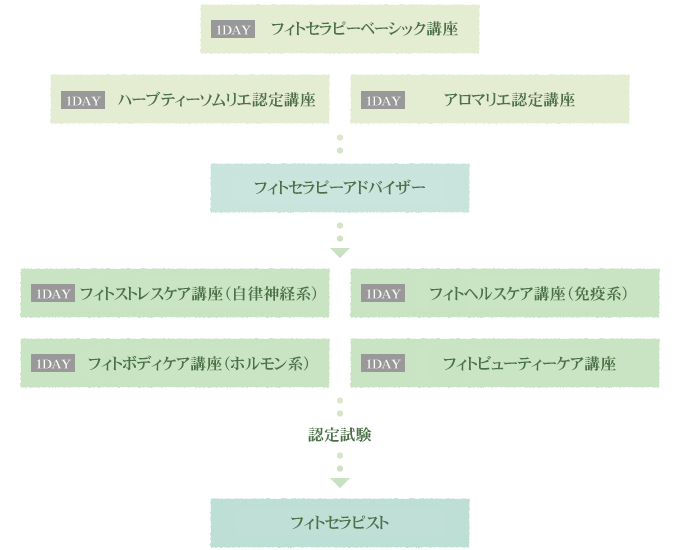 フィトセラピーアドバイザー→フィトセラピスト→フィトセラピーインストラクター