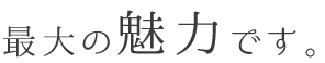 最大の魅力です。